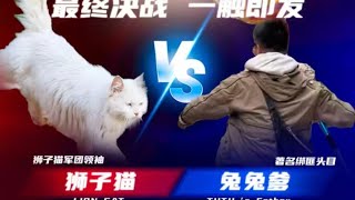 【本喵叫兔兔】大决战！！！猫德学院大战狮子猫！既分高下，也决生死！