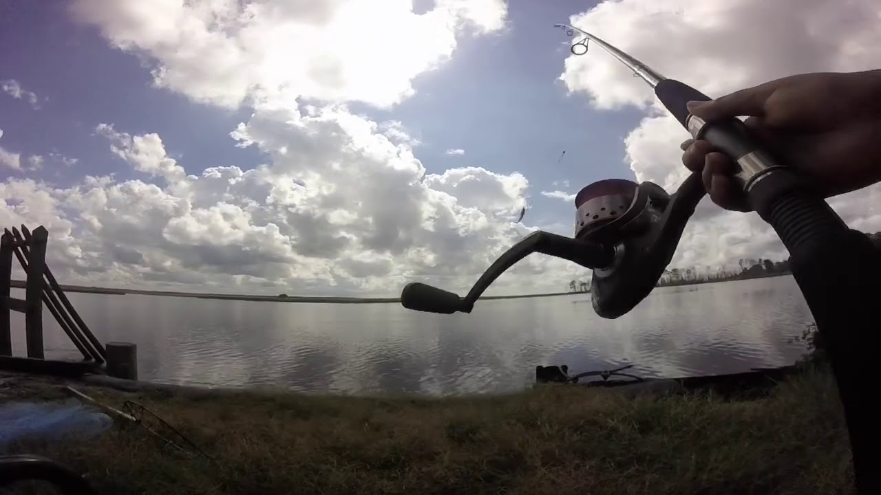 Lowcountry Fishing and Gator Hunting with Outdoor dream foundation