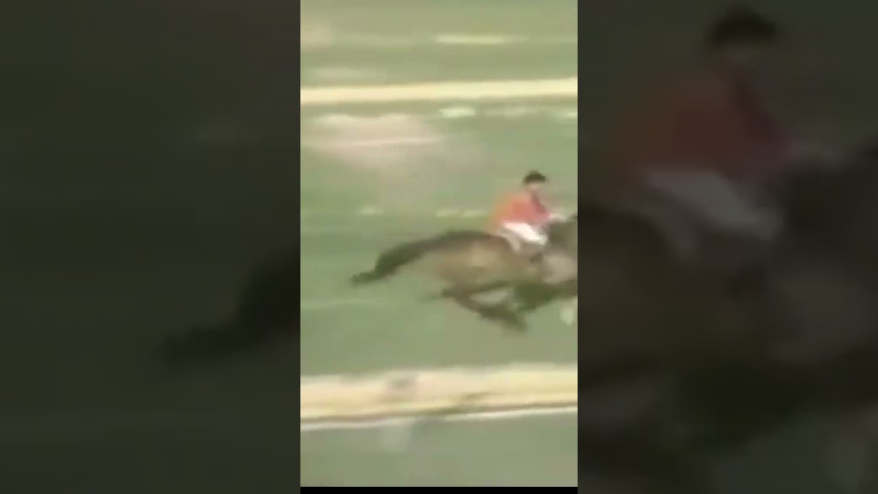 BMX vs HORSE 