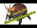 Health/life/channel update #snarkybish 