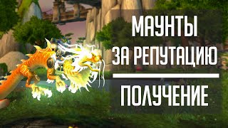 МАУНТЫ ЗА РЕПУТАЦИЮ в World of Warcraft! Фарм репутации нон-стоп для маунтов