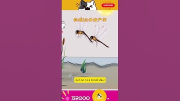 FUNNY VIDEO - ẾCH "KHINH CÔNG" TÓM GỌN CHUỒN CHUỒN #shortvideo #funny #animals #shorts #fyp