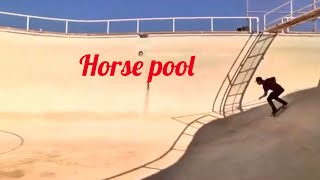 Kevin Kowalski Horse Pool Frontside Invert