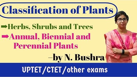 Classification of Plants- by N Bushra #outofthebox#CTET #UPTET #SCIENCE_PAPER_2