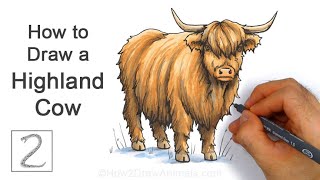 How to Draw a Highland Cow | Colored Marker Tutorial