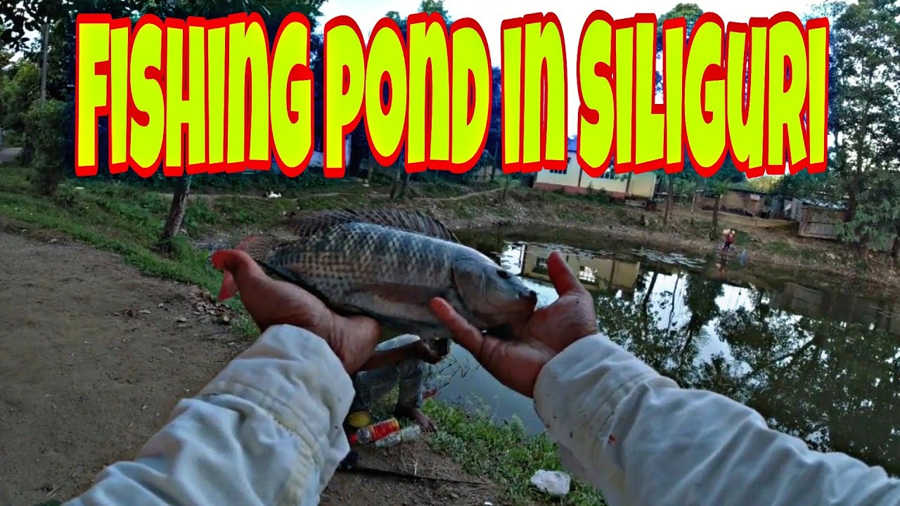 Fishing pond in Siliguri 