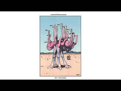 ACID JAZZ - Live Tropical Fish Feat. Jay Rodriguez - Turn a