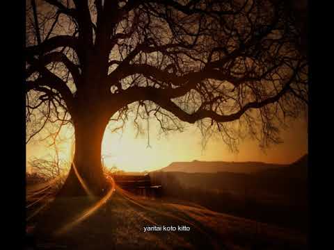 Eat Man Ending TV FIELDS Walk This Way Lyric