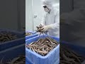 WATCH: FAKE VIRAL VIDEO SHOWING NOODLES BEING MADE FROM LIZARDS