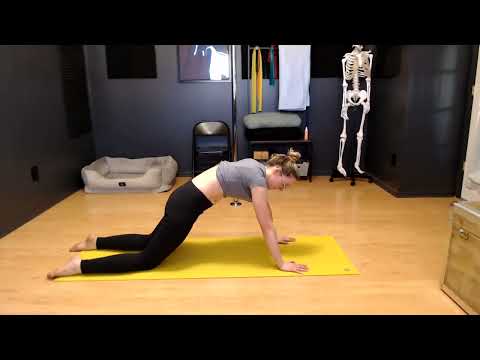 20-Min Full Spinal Stretch