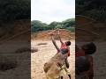 The Power of Nature: Incredible Archery Skill and a Leopard’s High-Tree Kill 🐆🏹#shorts #viralshorts