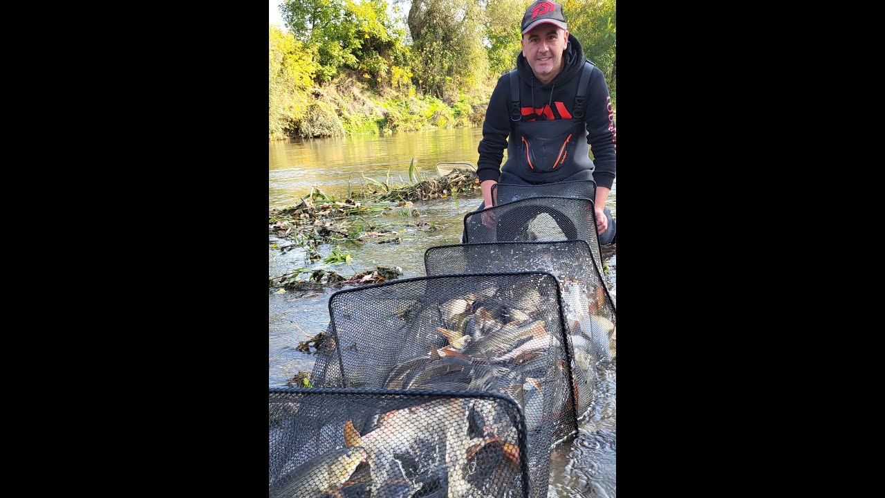 Ribolov plotice i mrene na Južnoj Moravi u jednom danu...