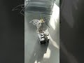 The mechanical structure butterfly model toy is really healing and romantic.
