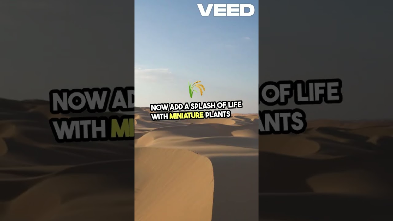 Relaxing Mini Zen Garden DIY 🌿✨