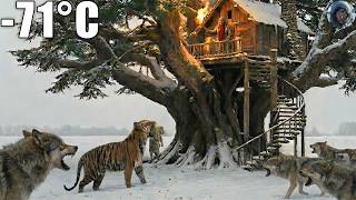 Tiger Begged An Old Woman To Rescue Her Frozen Cub From A Pack Of Wolves.