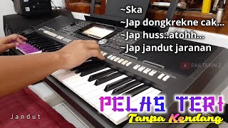 PELAS TERI ~ Tanpa Kendang | Music by Pak Takin | aZkia naDa