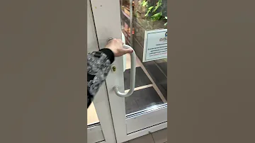 Гигантский цепкохвостый сцинк