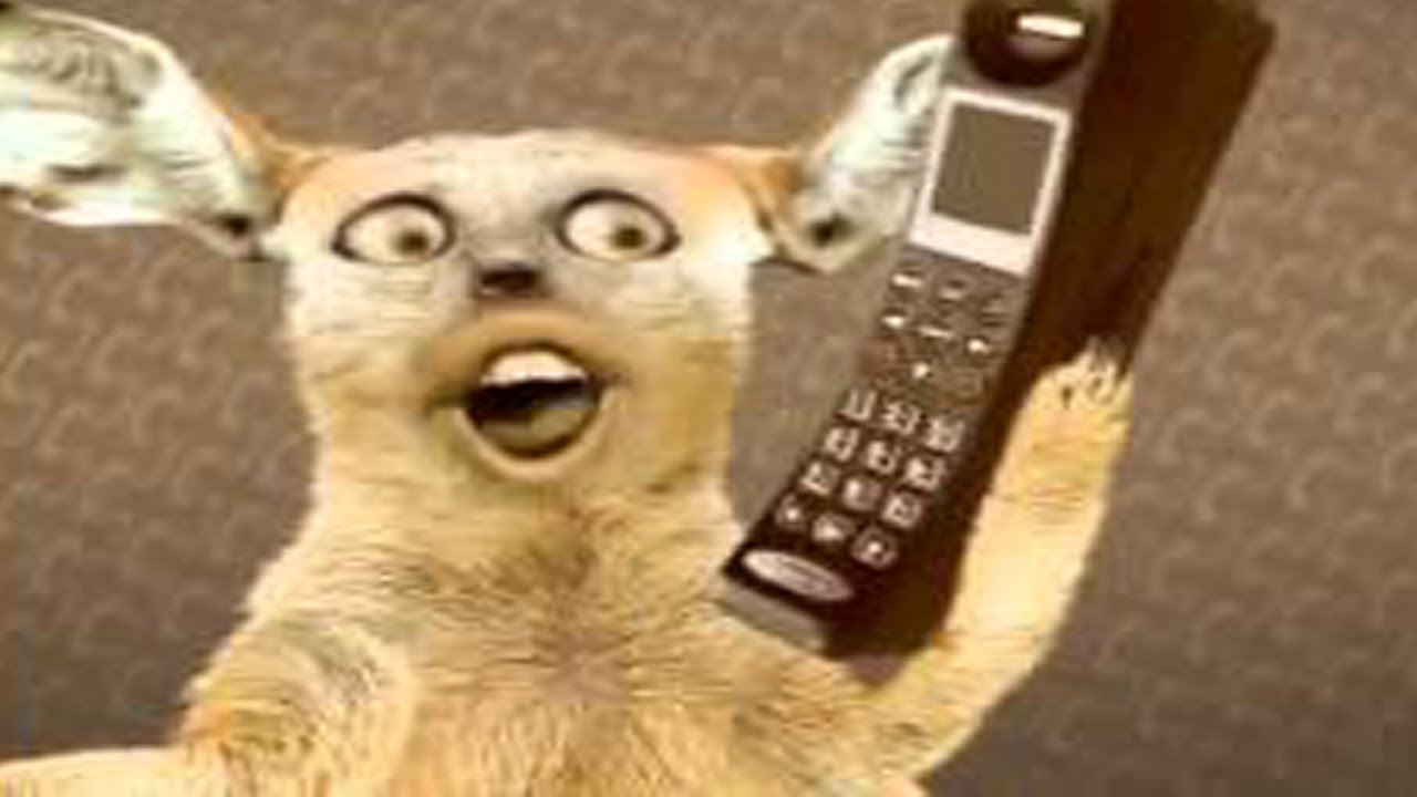 Озон-нума нума ей - YouTube