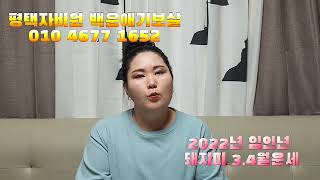 3월4월 돼지띠 운세 2022년 임인년 월운세 띠별운세 다양한 기회와 선택이 있어요
