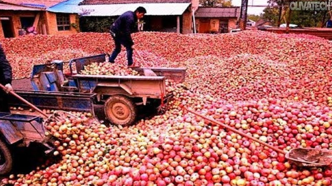 How It's Made - Apple Processing