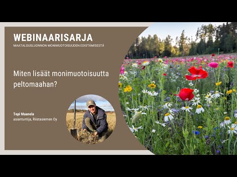 Video: Kauppakeskukset Murmanskissa. Nimet ja kuvaus