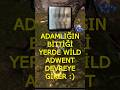 Adamlığın bittiği yerde Wild Adwent Akar #shots #knightonlineshorts #youtubeshorts