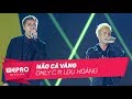 mùa hè không độ 2017 não cá vàng only c lou hoàng