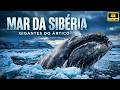 Mar da Sibéria — Sobrevivência Extrema Entre Gelo e Escuridão (O Que Ninguém Mostra)