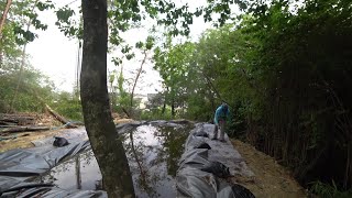 Nature Wonderland; bending a tree, exploring the western slope, and carrying back branches 20250523