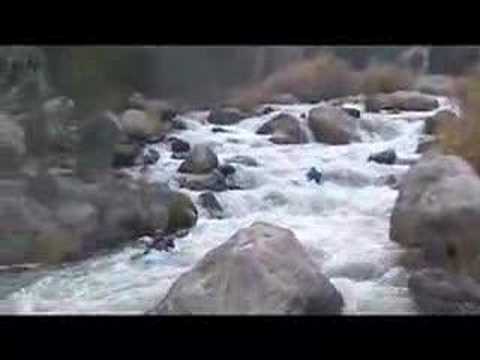 Big Thompson Creeking Full-Length