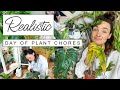 A realistic  imperfect day of plant chores  do houseplant chores with me