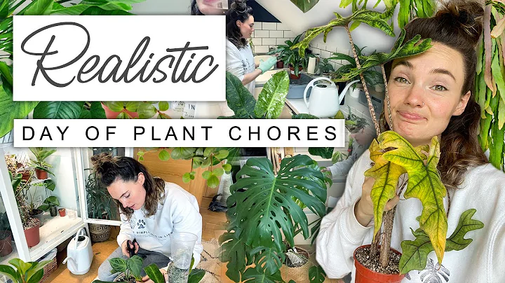 A Realistic + Imperfect Day Of Plant Chores 🌿 Do Houseplant Chores With Me