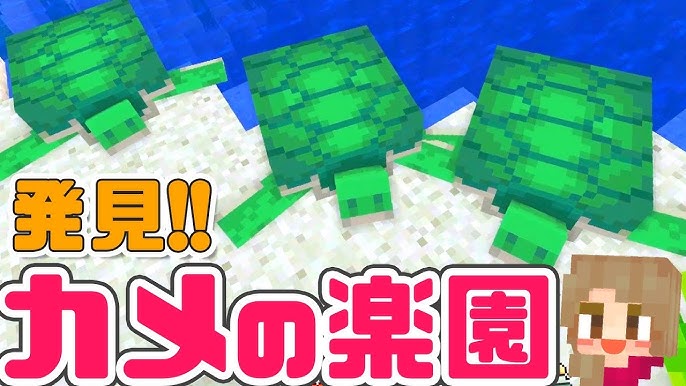 ８ Switch マイクラ部 亀を孵化させてみたい Youtube