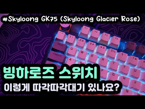 【SLOW ASMR】 Skyloong GK75⌨️ | Glacier Rose (stock) | Keyboard Typing ASMR | No ADs No Talking😴