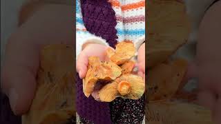 Köyden Indim Köye Öy Öyhayatı