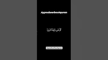 سورة العنكبوت الآية 55-57 تلاوة الشيخ عبد الرحمن مسعد