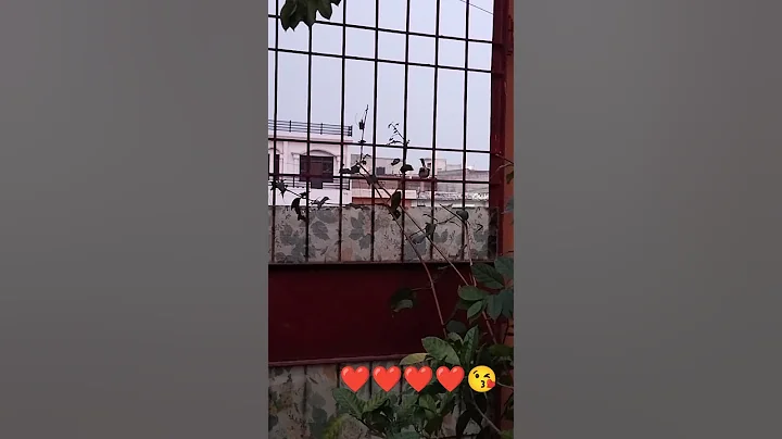 #orichiriya  #angna me# fir #aaja re ❤️❤️😘