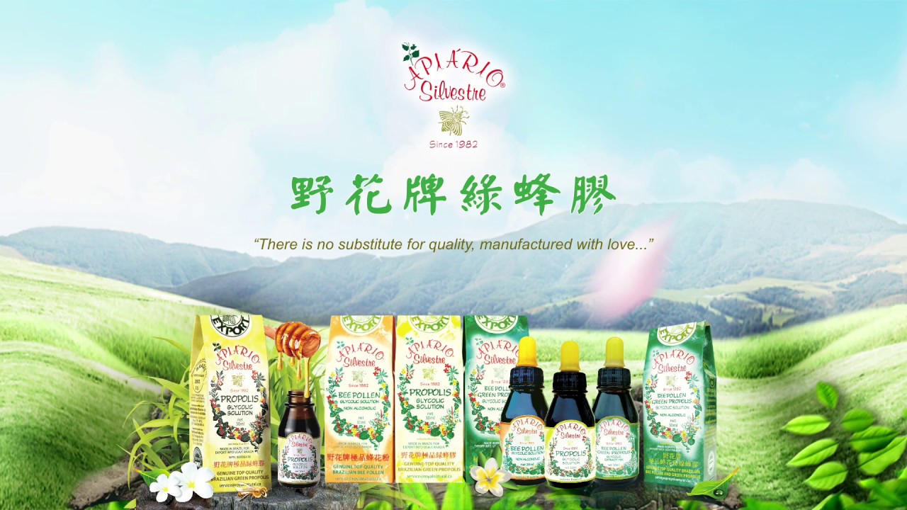 巴西 野花牌绿蜂胶19 Youtube
