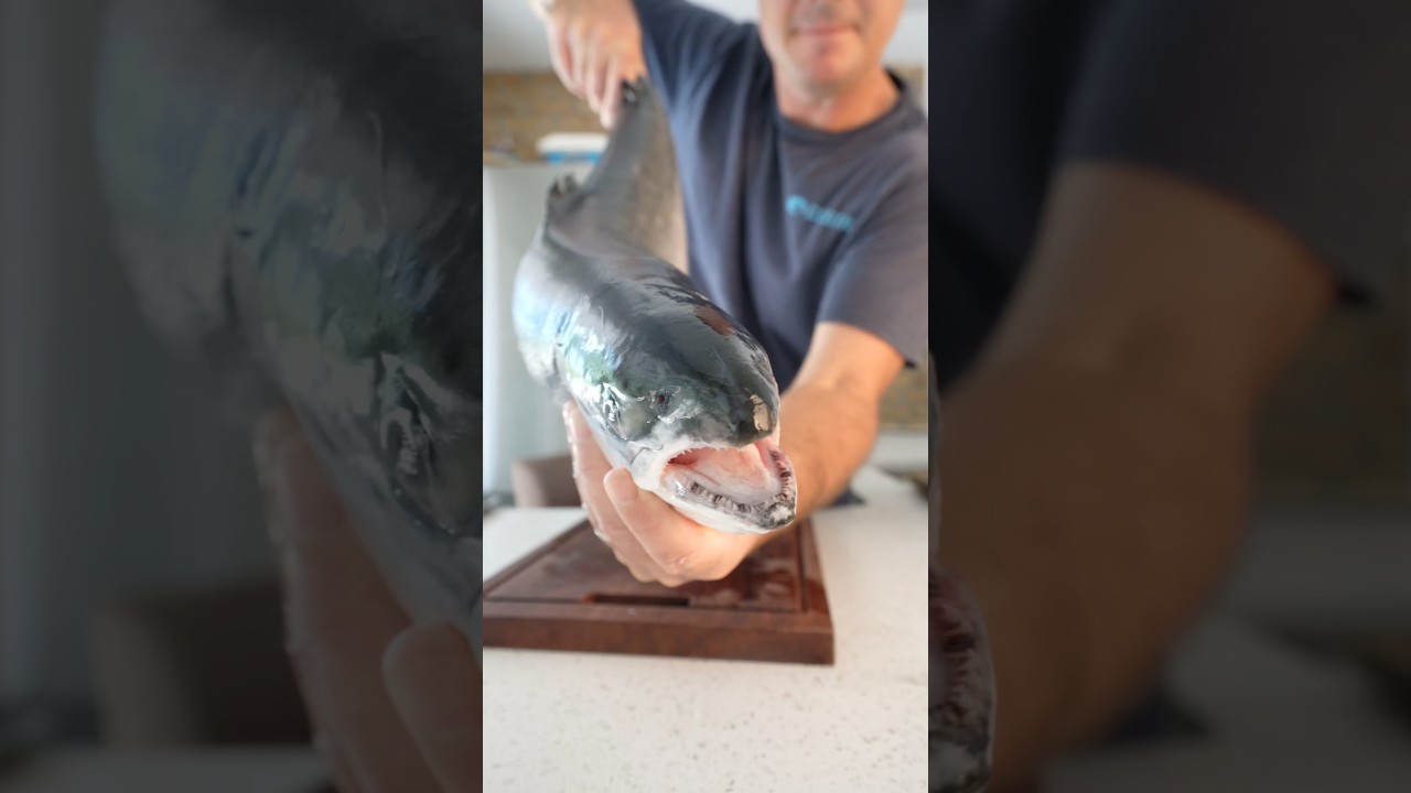 Сырой лосось? Дикий или выращенный на ферме?