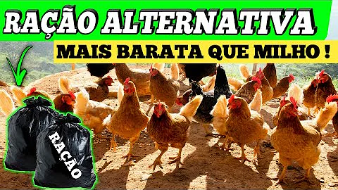 O que define a galinha ser caipira?