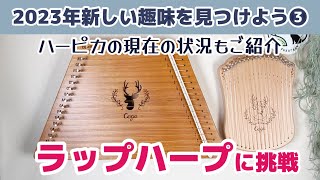 ハーピカと比べてどう？ラップハープに挑戦！【2023年新しい趣味を見つけてみよう③】