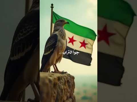 على الصقر لا تقرب أبعد يا غراب