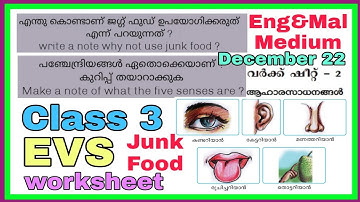Class 3 EVS worksheet december 22 English and Malayalam medium | std 3 evs worksheet december 22