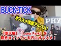 【オススメ洋楽!】BUCK-TICK『堕天使』『Luna Park』を聴きまくっている方に聴いて頂きたいアルバム3枚紹介!