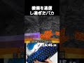 装備を過信しすぎたバカ。 #マインクラフト