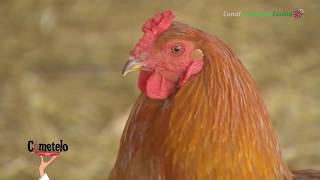 Granja escuela El Pocico. Lubrín, Almería