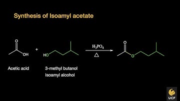Synthesis of isoamyl acetate overview and Q&A