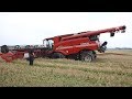 Case IH 9250 Axial-Flow Gets Totally Stuck in The Muddy Field During Harvest | Danish Agriculture