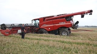 Case IH 9250 Axial-Flow Gets Totally Stuck in The Muddy Field During Harvest | Danish Agriculture