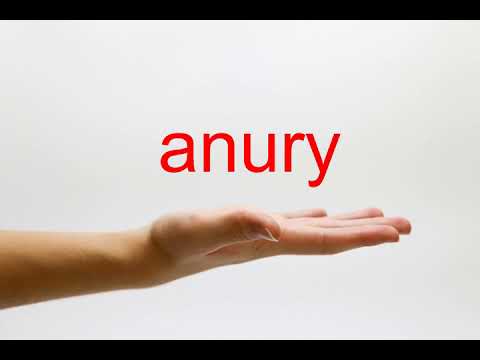 How to Pronounce anury - American English